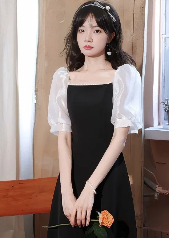 SHEER PUFF SLEEVE LONG DRESS