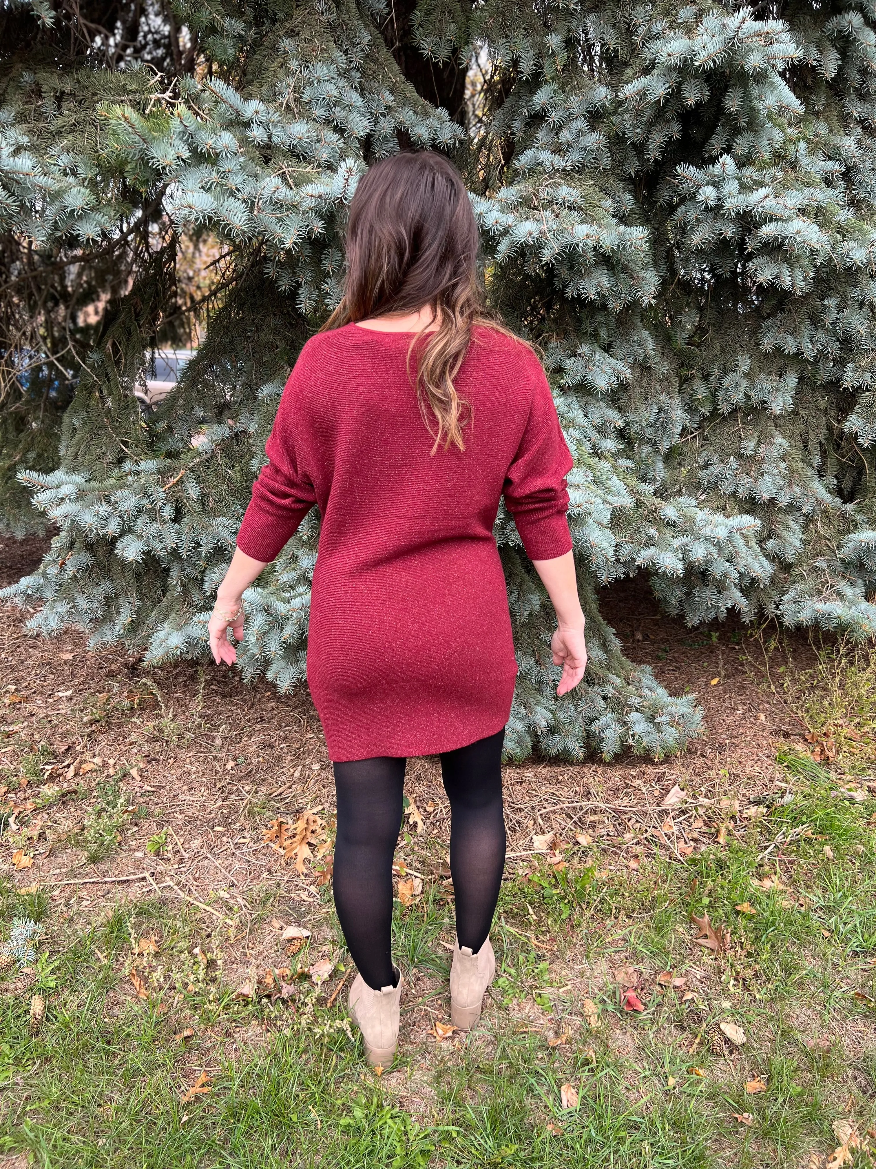 Sparkle Long Sleeve Mini Dress