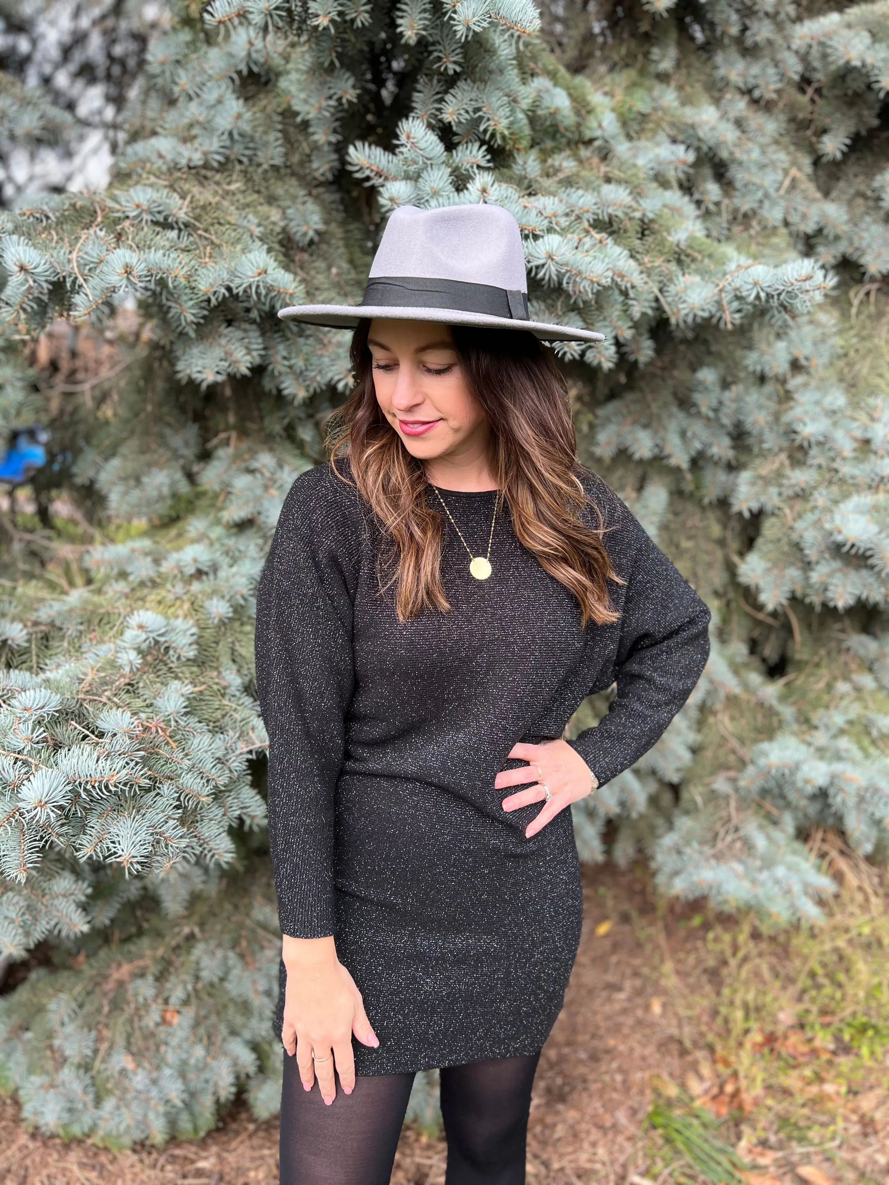 Sparkle Long Sleeve Mini Dress